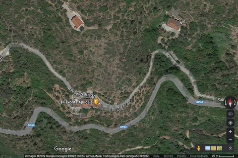 Erhvervsejendom i Apricale, Imperia, Apricale - € 690.000 | Ref: 23715 - foto 31