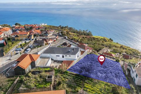 Helårsgrund i Ponta do Sol, Madeira, Ponta do Sol - € 380.000 | Ref: KWPT-026349 - foto 10