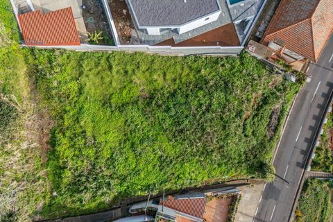 Helårsgrund i Ponta do Sol, Madeira, Ponta do Sol - € 380.000 | Ref: KWPT-026349 - foto 14