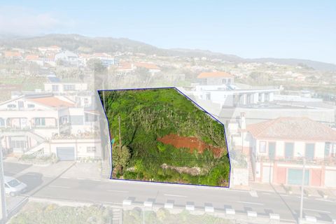 Helårsgrund i Ponta do Sol, Madeira, Ponta do Sol - € 380.000 | Ref: KWPT-026349 - foto 22