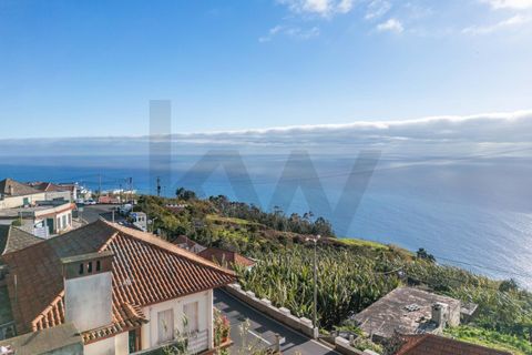 Helårsgrund i Ponta do Sol, Madeira, Ponta do Sol - € 380.000 | Ref: KWPT-026349 - foto 23