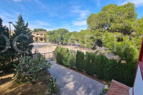 Villa i Torrent, Valencia, Torrent - € 1.600/måned | Ref: JA287/6904 - foto 26