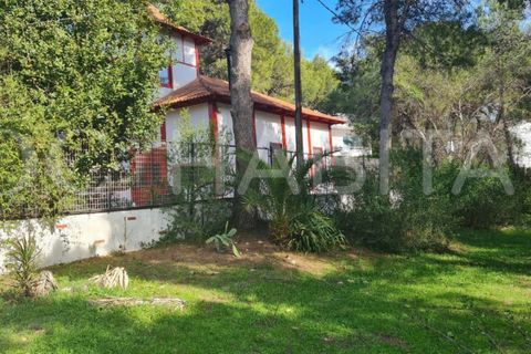 Villa i Torrent, Valencia, Torrent - € 1.600/måned | Ref: JA287/6904 - foto 28