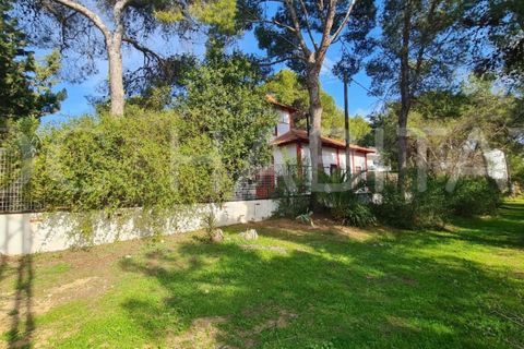 Villa i Torrent, Valencia, Torrent - € 1.600/måned | Ref: JA287/6904 - foto 29
