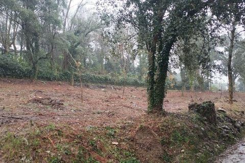 Helårsgrund i Vila do Conde, Porto, Vila do Conde - € 89.000 | Ref: 800259 - foto 5