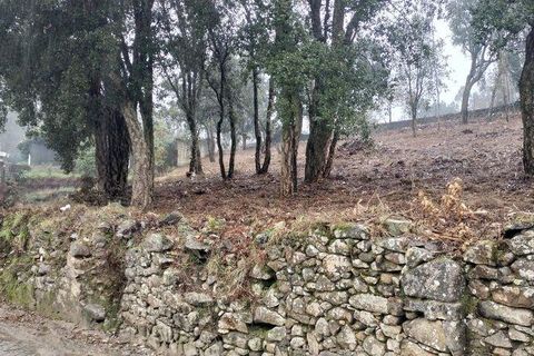 Helårsgrund i Vila do Conde, Porto, Vila do Conde - € 89.000 | Ref: 800259 - foto 6