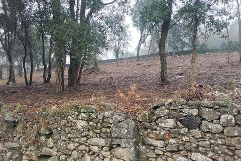 Helårsgrund i Vila do Conde, Porto, Vila do Conde - € 89.000 | Ref: 800259 - foto 7