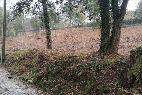 Helårsgrund i Vila do Conde, Porto, Vila do Conde - € 89.000 | Ref: 800259 - foto 23