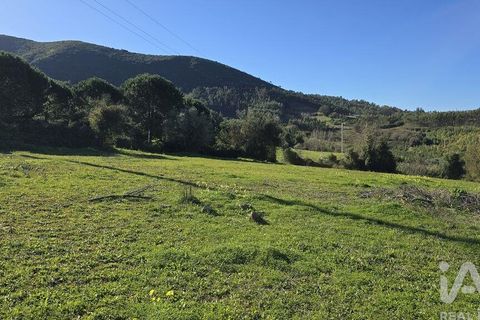 Helårsgrund i Cadaval, Lisbon, Cadaval - € 55.000 | Ref: 806044 - foto 5