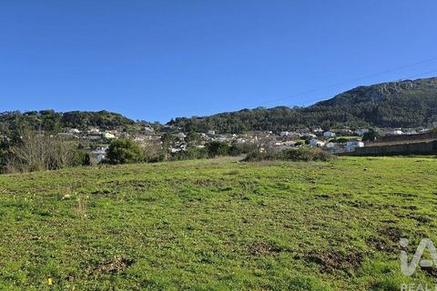 Helårsgrund i Cadaval, Lisbon, Cadaval - € 55.000 | Ref: 806044 - foto 6