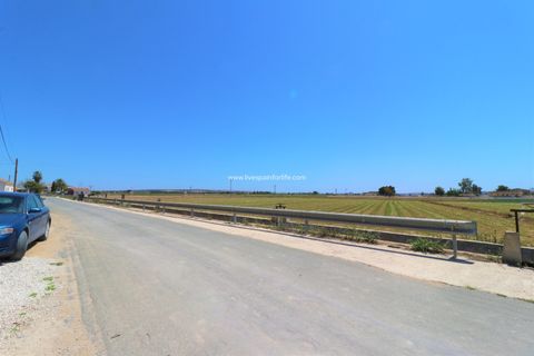 Landejendom i Dolores, Alicante, Dolores - € 210.000 | Ref: Dol MML - foto 40