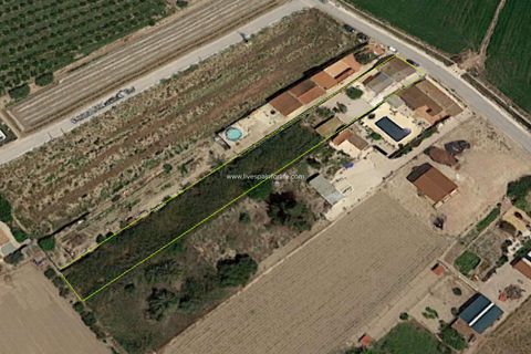 Landejendom i Dolores, Alicante, Dolores - € 210.000 | Ref: Dol MML - foto 41