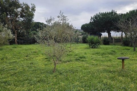 Byhus i Alcobaca, Leiria, Alcobaca - € 199.950 | Ref: 806005 - foto 19
