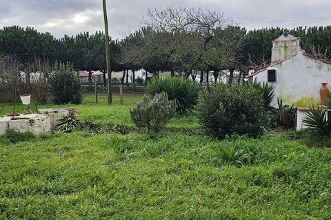 Byhus i Alcobaca, Leiria, Alcobaca - € 199.950 | Ref: 806005 - foto 20