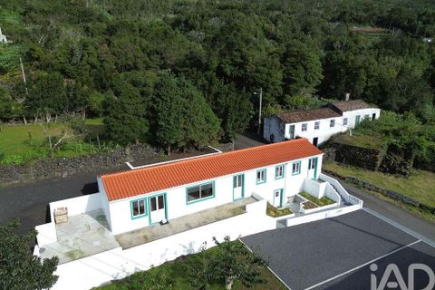 Byhus i Lajes do Pico, Pico, Lajes do Pico - € 239.000 | Ref: 745530 - foto 17