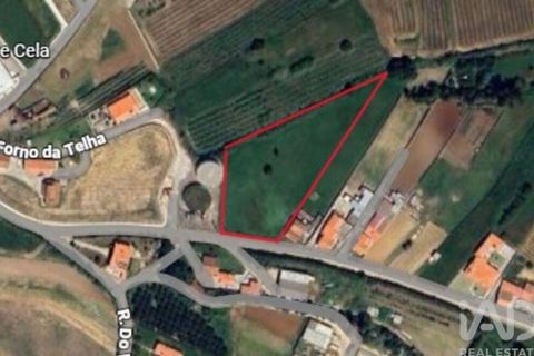 Helårsgrund i Alcobaca, Leiria, Alcobaca - € 80.000 | Ref: 798826 - foto 13