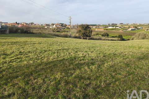 Helårsgrund i Alcobaca, Leiria, Alcobaca - € 80.000 | Ref: 798826 - foto 4