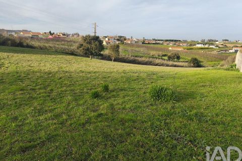 Helårsgrund i Alcobaca, Leiria, Alcobaca - € 80.000 | Ref: 798826 - foto 5