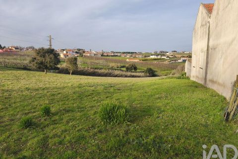 Helårsgrund i Alcobaca, Leiria, Alcobaca - € 80.000 | Ref: 798826 - foto 6