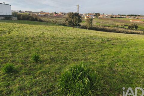 Helårsgrund i Alcobaca, Leiria, Alcobaca - € 80.000 | Ref: 798826 - foto 7