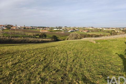 Helårsgrund i Alcobaca, Leiria, Alcobaca - € 80.000 | Ref: 798826 - foto 9