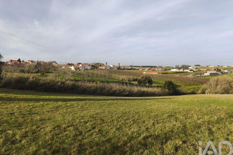 Helårsgrund i Alcobaca, Leiria, Alcobaca - € 80.000 | Ref: 798826 - foto 10