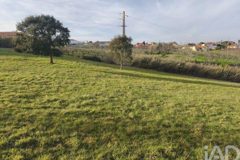 Helårsgrund i Alcobaca, Leiria, Alcobaca - € 80.000 | Ref: 798826 - foto 11