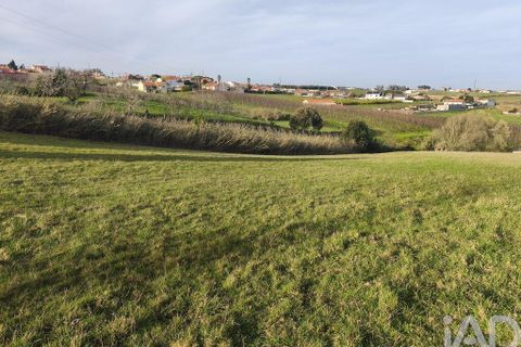 Helårsgrund i Alcobaca, Leiria, Alcobaca - € 80.000 | Ref: 798826 - foto 12