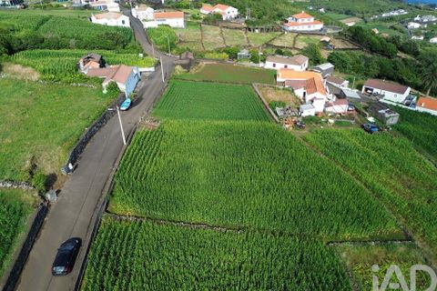 Helårsgrund i Lajes do Pico, Pico, Lajes do Pico - € 65.000 | Ref: 771672 - foto 3