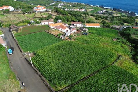 Helårsgrund i Lajes do Pico, Pico, Lajes do Pico - € 65.000 | Ref: 771672 - foto 5
