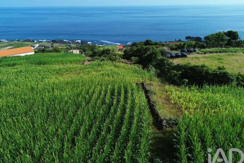 Helårsgrund i Lajes do Pico, Pico, Lajes do Pico - € 65.000 | Ref: 771672 - foto 8