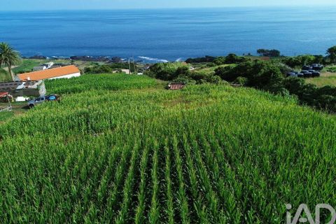 Helårsgrund i Lajes do Pico, Pico, Lajes do Pico - € 65.000 | Ref: 771672 - foto 9