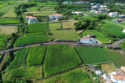 Helårsgrund i Lajes do Pico, Pico, Lajes do Pico - € 65.000 | Ref: 771672 - foto 12