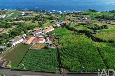 Helårsgrund i Lajes do Pico, Pico, Lajes do Pico - € 65.000 | Ref: 771672 - foto 13