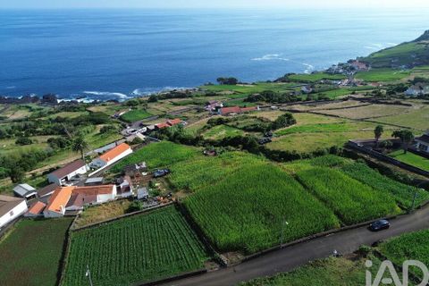 Helårsgrund i Lajes do Pico, Pico, Lajes do Pico - € 65.000 | Ref: 771672 - foto 14