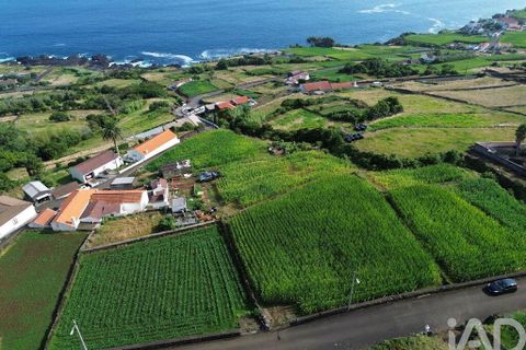 Helårsgrund i Lajes do Pico, Pico, Lajes do Pico - € 65.000 | Ref: 771672 - foto 17