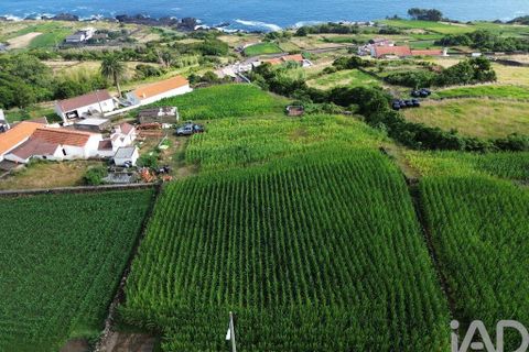 Helårsgrund i Lajes do Pico, Pico, Lajes do Pico - € 65.000 | Ref: 771672 - foto 19