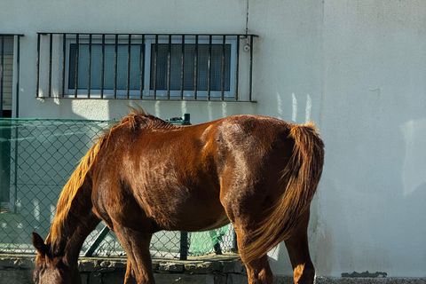 Byhus i Tarifa, Cadiz, Tarifa - € 840.000 | Ref: SPCRM4539 - foto 47
