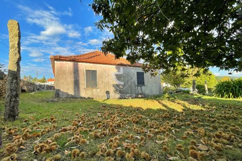 Byhus i Paredes de Coura, Viana do Castelo, Paredes de Coura - € 120.000 | Ref: AV6528 - foto 8