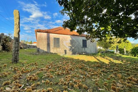 Byhus i Paredes de Coura, Viana do Castelo, Paredes de Coura - € 120.000 | Ref: AV6528 - foto 9