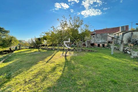 Byhus i Paredes de Coura, Viana do Castelo, Paredes de Coura - € 120.000 | Ref: AV6528 - foto 19
