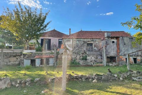 Byhus i Paredes de Coura, Viana do Castelo, Paredes de Coura - € 120.000 | Ref: AV6528 - foto 20