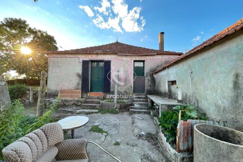 Byhus i Paredes de Coura, Viana do Castelo, Paredes de Coura - € 120.000 | Ref: AV6528 - foto 46