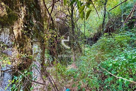 Byhus i Arcos de Valdevez, Viana do Castelo, Arcos de Valdevez - € 75.000 | Ref: AV6465 - foto 5