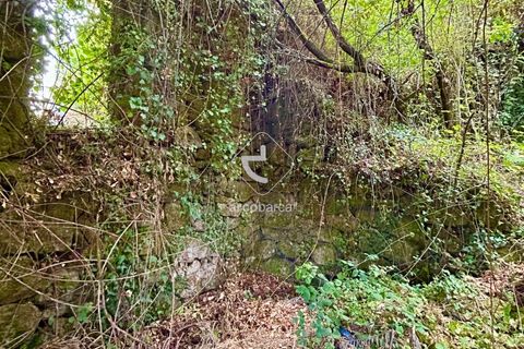 Byhus i Arcos de Valdevez, Viana do Castelo, Arcos de Valdevez - € 75.000 | Ref: AV6465 - foto 10