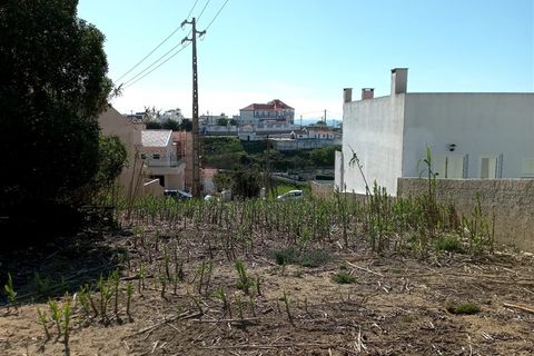 Helårsgrund i Sintra, Lisbon, Sintra - € 450.000 | Ref: DH151 - foto 10