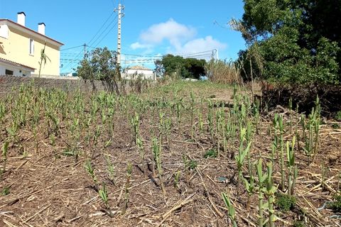 Helårsgrund i Sintra, Lisbon, Sintra - € 450.000 | Ref: DH151 - foto 12