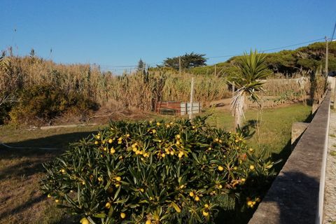 Helårsgrund i Sintra, Lisbon, Sintra - € 3.250.000 | Ref: DH133 - foto 1