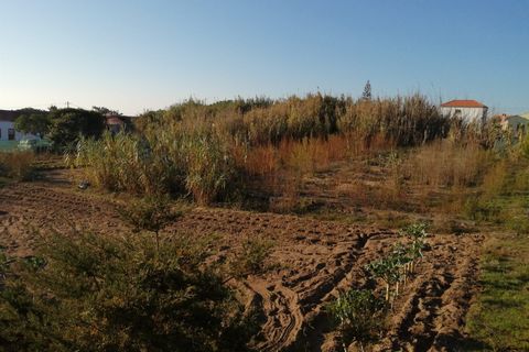 Helårsgrund i Sintra, Lisbon, Sintra - € 3.250.000 | Ref: DH133 - foto 9
