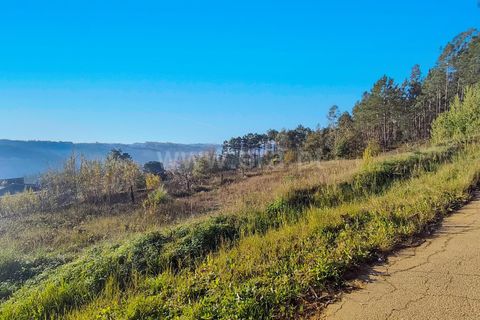 Helårsgrund i Leiria, Leiria, Leiria - € 60.000 | Ref: 222260062 - foto 3